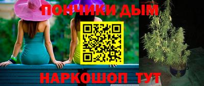 дурь Камышлов