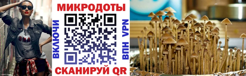 Галлюциногенные грибы мицелий  закладка  Киржач 