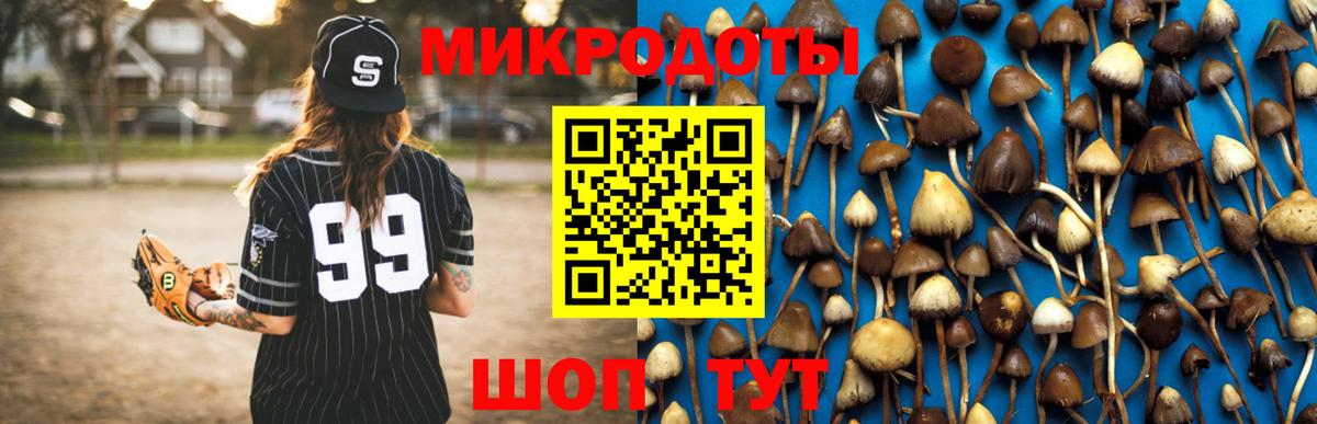 Псилоцибиновые грибы Psilocybe Киржач