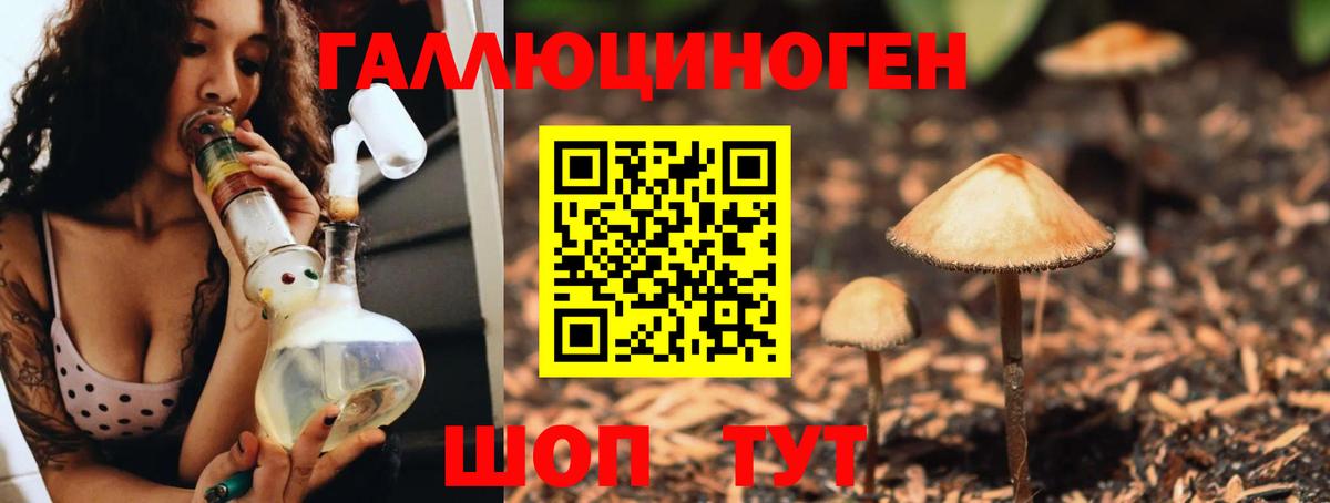 Псилоцибиновые грибы Magic Shrooms  Вход с VPN  Киржач 